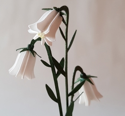 03 miniaturglockenblume